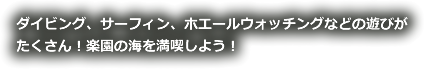 ダイビング、サーフィン、ホエールウォッチングなどの遊びが<br />
たくさん！楽園の海を満喫しよう！