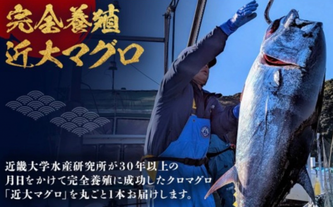 『近大マグロ』にご寄附いただきました！2