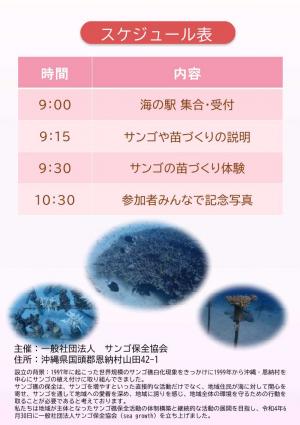 サンゴの苗づくり体験2