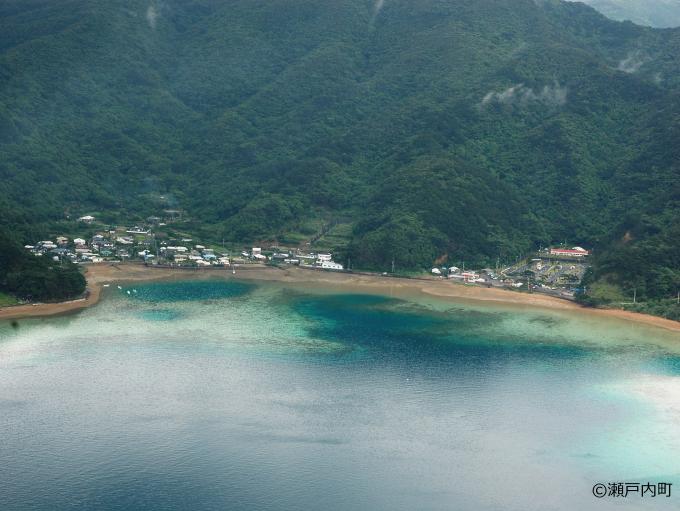 手安弾薬本庫跡（全景）